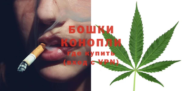 гидра Пересвет