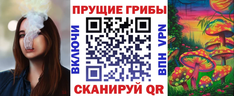 Псилоцибиновые грибы Psilocybe Котельнич